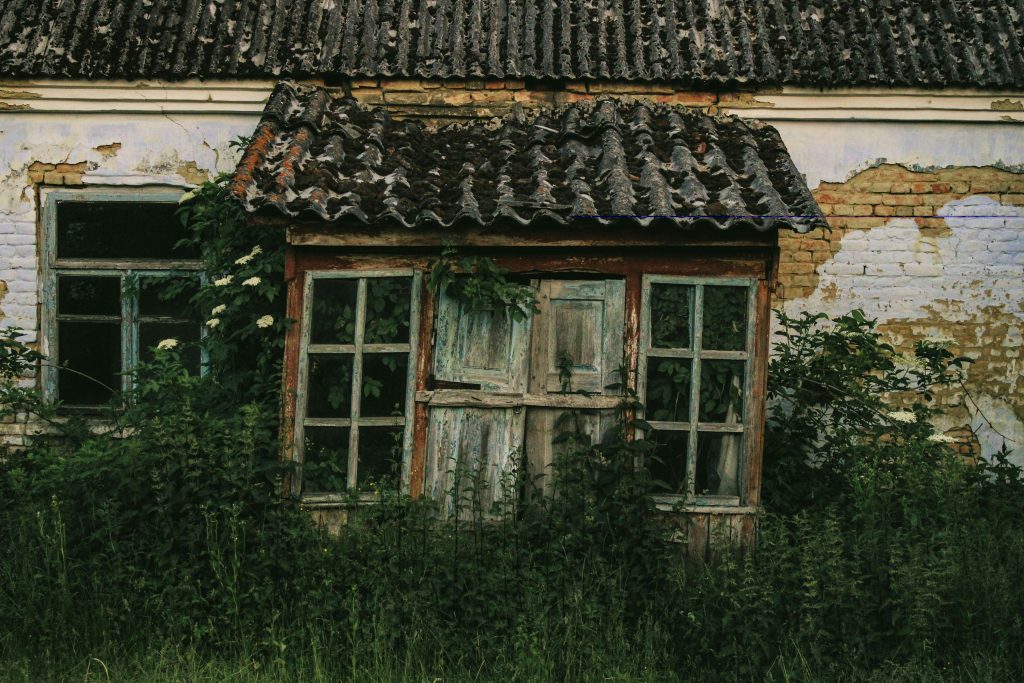 Weathered, overgrown southern porch, the kind of setting that anchors southern gothic atmosphere